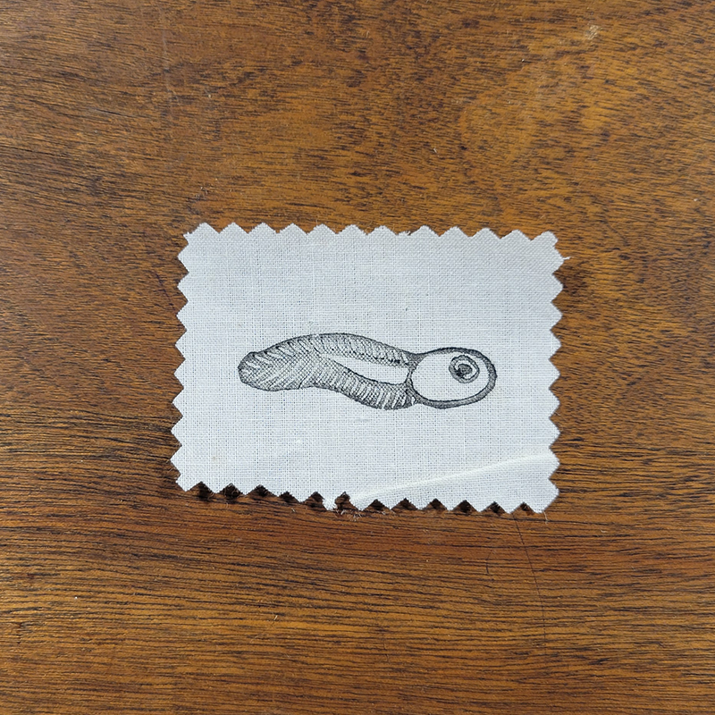Tadpole Linocut Patch